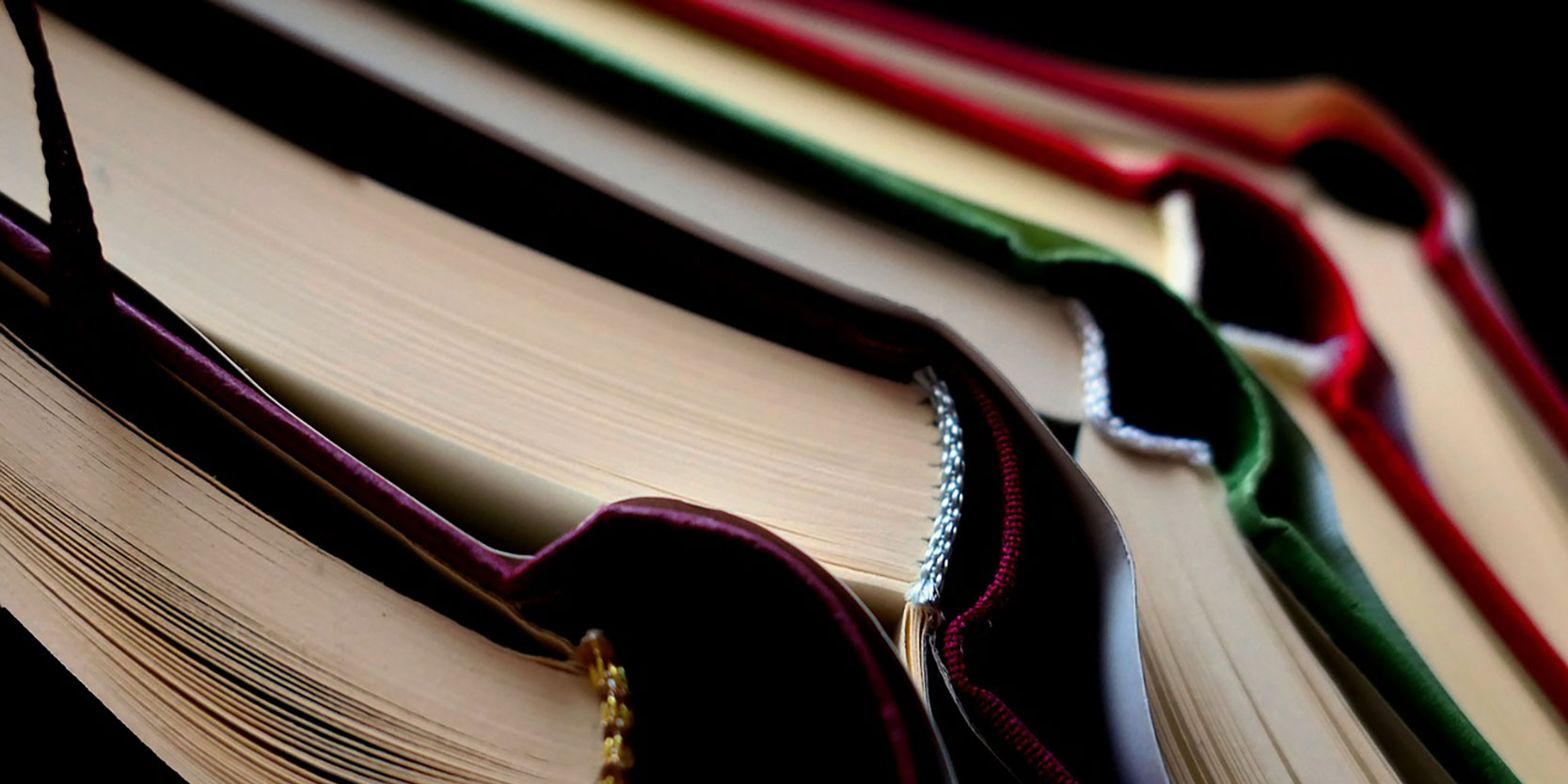 Gesellschafts- und Sozialwissenschaften